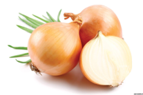 0200xo3e-ff9e-207x138.png