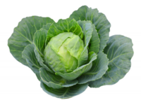 0200xo3f-c9c6-200x150.png