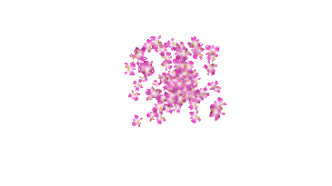 0200xpsz-027c-365x205.gif