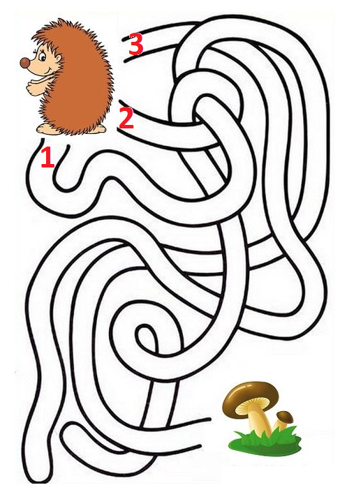 0200xsdz-67a5-497x715.png