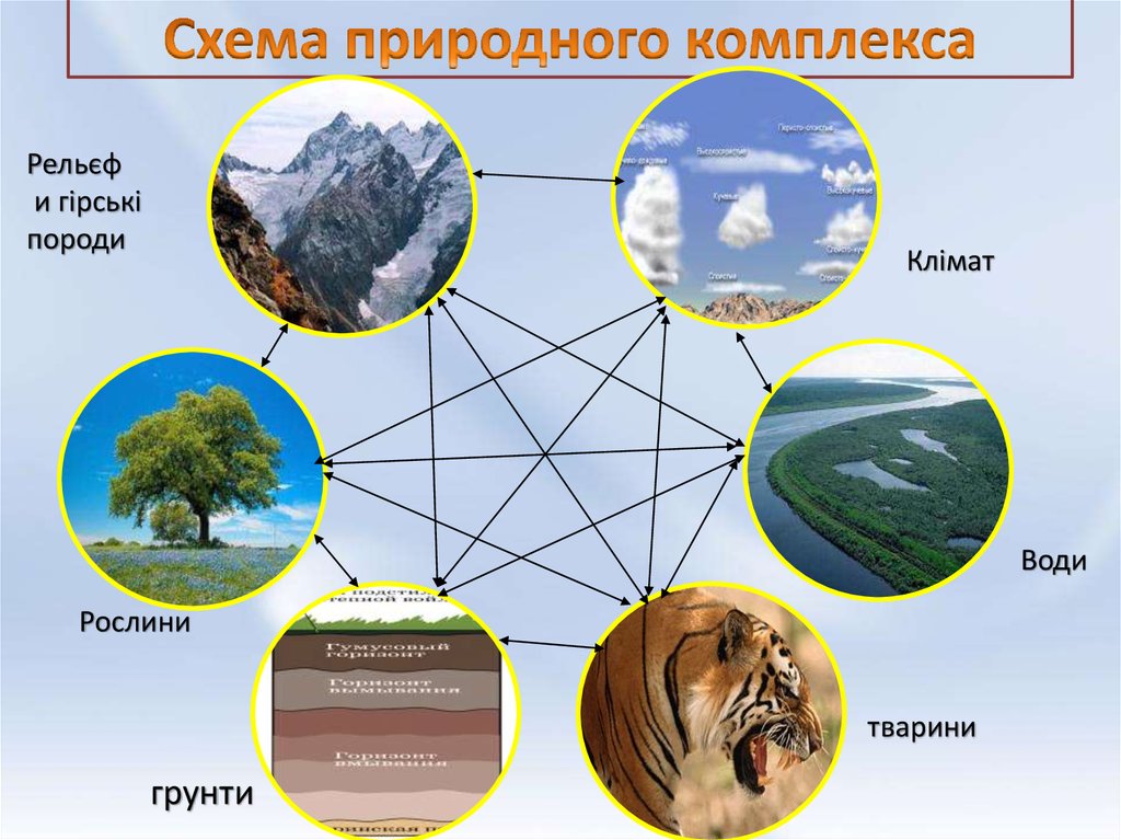 Природный комплекс воронежской области описание по плану