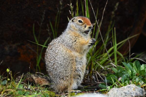 0200xxfm-0445-600x400.jpg