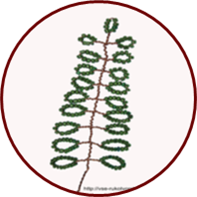0200xxof-a914-197x197.png