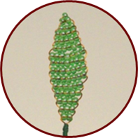 0200xxoo-cc9d-197x197.png