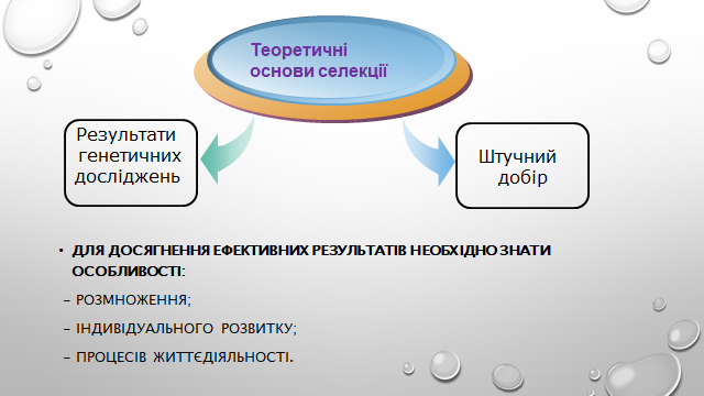 0200y0kt-67aa-640x360.png