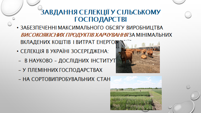 0200y0kw-ece2-640x360.png