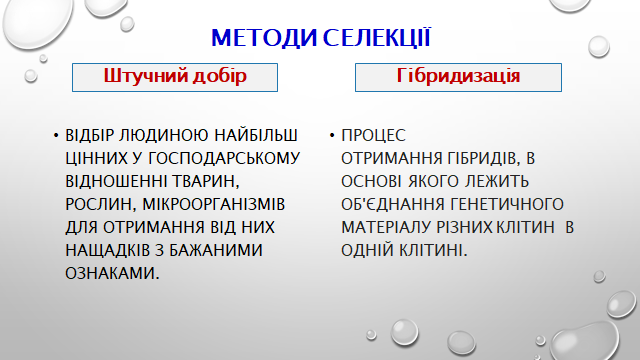 0200y0l3-b49c-640x360.png