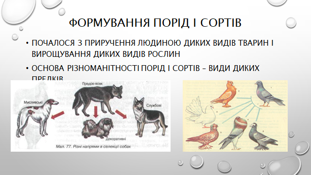 0200y0l5-b8e7-640x360.png