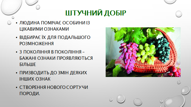 0200y0l7-d135-640x360.png