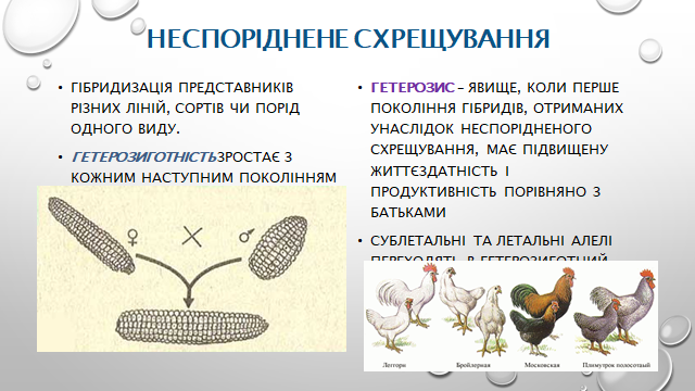0200y0lh-6357-640x360.png