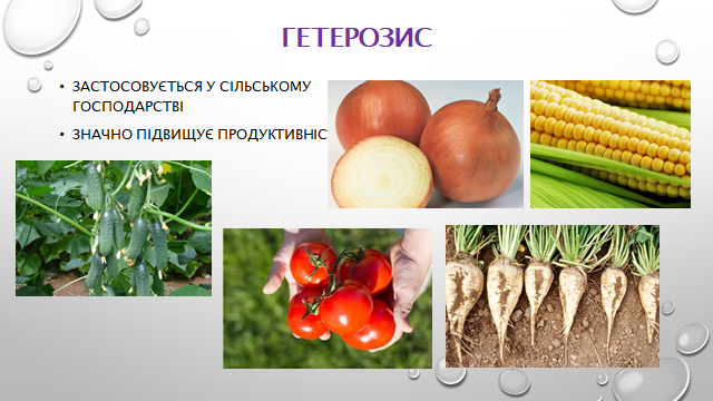 0200y0lj-8be2-640x360.png