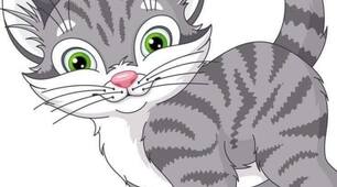 Картки з французької мови . Les animaux (Тварини).