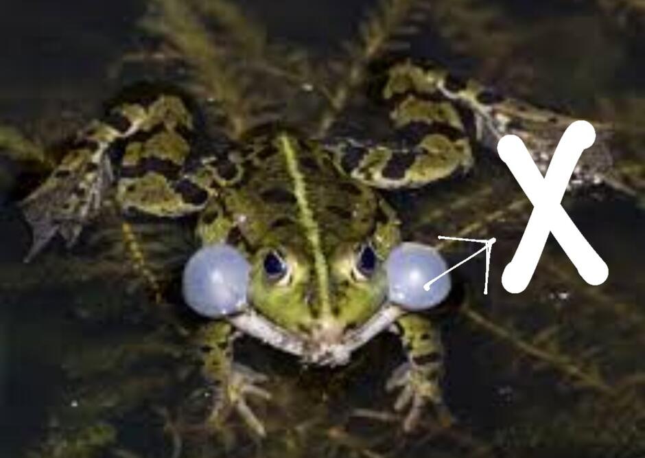0200y1or-b740-940x667.jpg