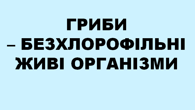 0200y1ql-e142-640x360.png
