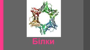 Білки як високомолекулярні сполуки