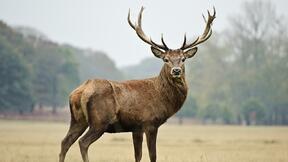 0200y6l0-6f72-288x162.jpg