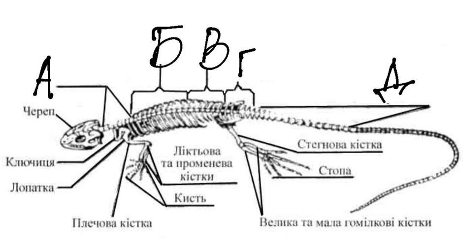 0200y73i-c884-940x506.jpg