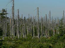 0200y7ph-5747-220x165.jpg
