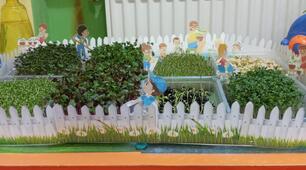 Вирощування мікрогрін (мікрозелень) на підвіконні