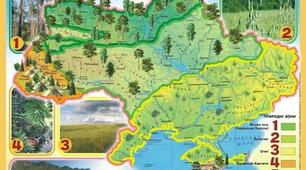 Природа Карпатських гір