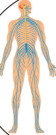 0200y9or-43b7-112x268.png