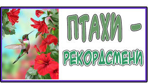Презентація "Птахи - рекордсмени"