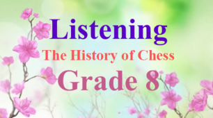 Розробка уроку аудіювання для 8 класу "The History of Chess"