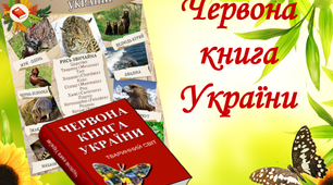 Гра «Червона книга та чорний список видів тварин. Зелена книга України»
