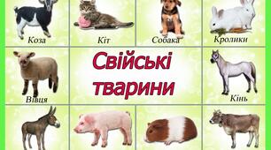 Свійські тварини