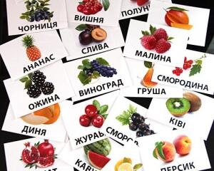 Карточки Домана помогают учить ребенка с 3 месяцев | Новости на Gazeta.ua