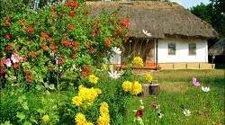 Виховний захід. Моя Вітчизна - Україна
