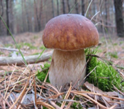 0200yn3w-3c4f-181x160.png