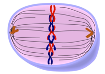 0200ys65-d341-215x153.png
