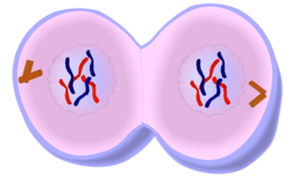 0200ys69-edb5-271x171.png