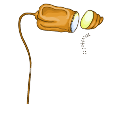 0200yskv-538f-240x226.png