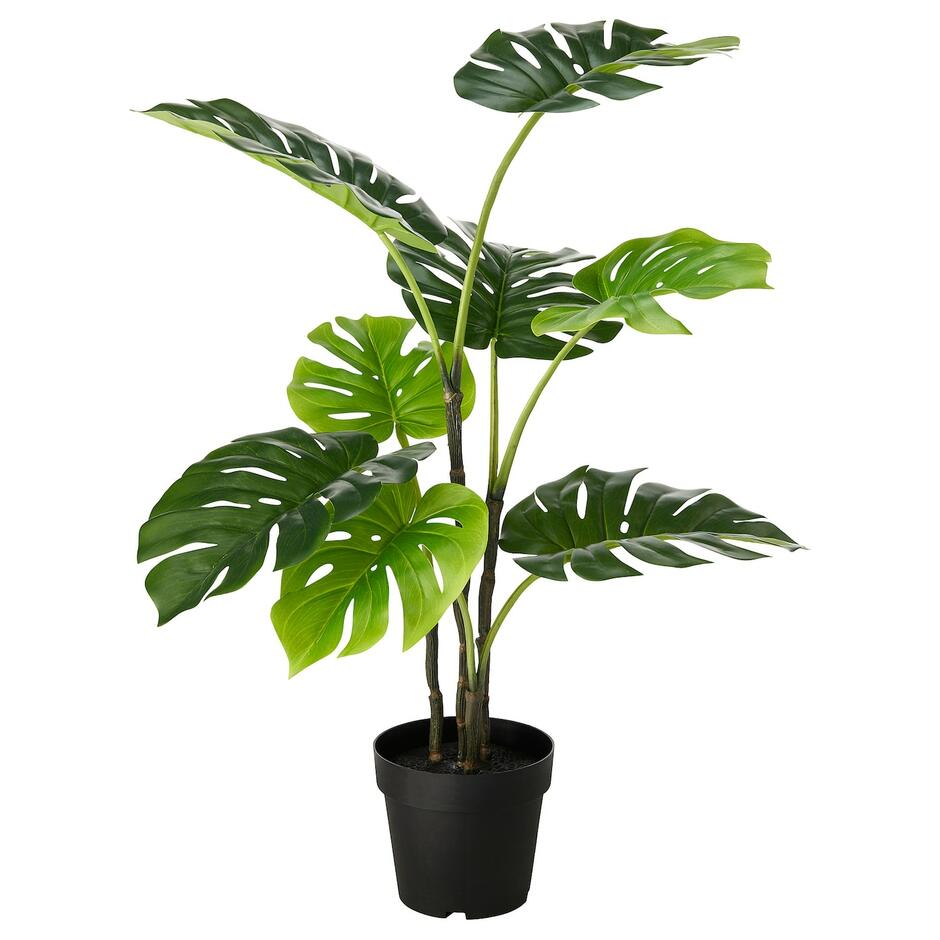 FEJKA Artificial potted plant, in/outdoor Monstera, 19 cm - IKEA