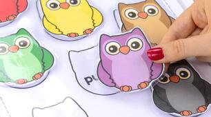 Розробка з англійської мови "Cute colorful owls"
