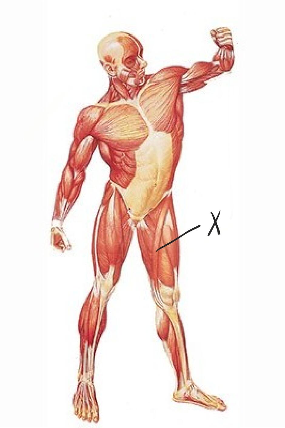 0200yxd4-c34e-940x1410.jpg