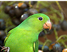 0200z1ep-e565-250x194.png