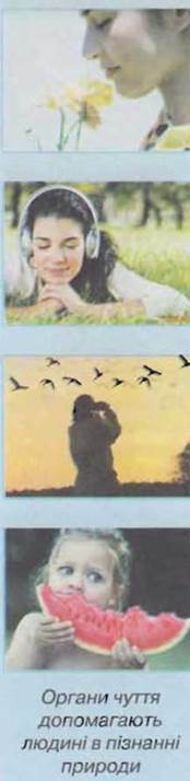 https://subject.com.ua/textbook/nature/5klas/5klas.files/image011.jpg