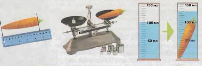 https://subject.com.ua/textbook/nature/5klas/5klas.files/image031.jpg