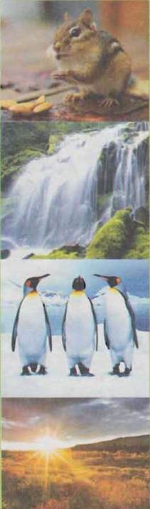 https://subject.com.ua/textbook/nature/5klas/5klas.files/image028.jpg