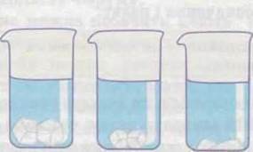 https://subject.com.ua/textbook/nature/5klas/5klas.files/image044.jpg
