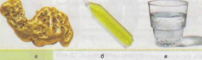 https://subject.com.ua/textbook/nature/5klas/5klas.files/image056.jpg