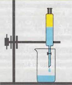 https://subject.com.ua/textbook/nature/5klas/5klas.files/image062.jpg