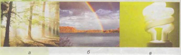 https://subject.com.ua/textbook/nature/5klas/5klas.files/image080.jpg