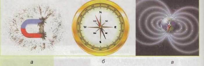 https://subject.com.ua/textbook/nature/5klas/5klas.files/image084.jpg