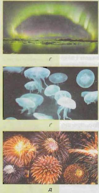 https://subject.com.ua/textbook/nature/5klas/5klas.files/image081.jpg