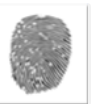 0200zauh-23bb-94x104.png