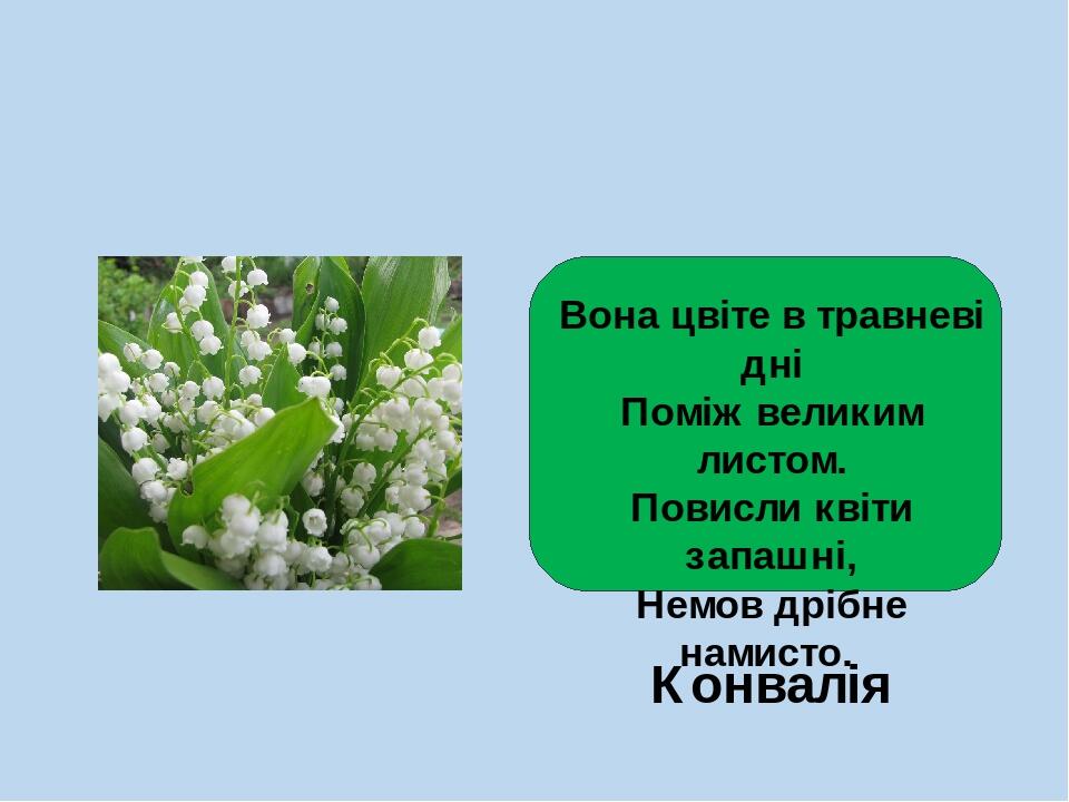 Розвиток мовлення 2 клас Малюю весняні квіти | Презентація. Українська мова